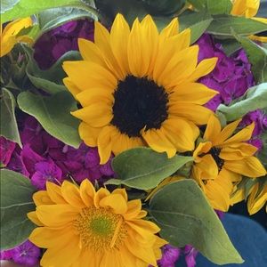 Meet your Posher, Patricia